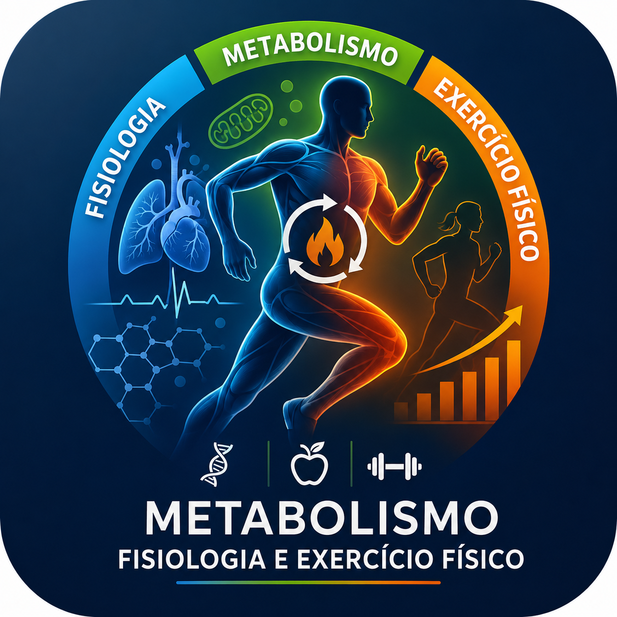 Infográfico de fisiologia, metabolismo e exercício físico com figura anatômica em corrida
